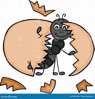 Image result for Ant Eggs Cartoon