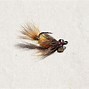 Image result for Fly Fishing Carp Flies