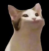 Image result for White Floating Cat Meme