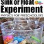 Image result for Sink or Float Preschool Activity