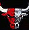 Image result for Chicago Bulls Team Logo