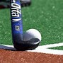 Image result for Ice Hockey Field