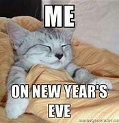 Image result for Happy New Year Funny LOL