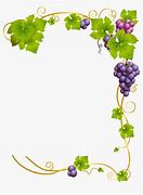 Image result for Grape Vine On Fence