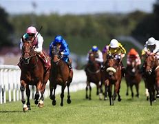 Image result for Goodwood House Horse Racing