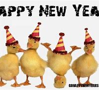 Image result for Beautiful Happy New Year Memes