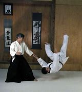 Image result for Aikido