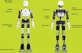 Image result for Future Humanoid Robots