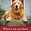 Image result for Funny Dog Quotes