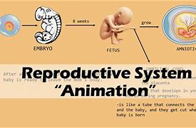 Image result for reproduce animated
