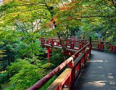 Image result for Izu Peninsula, Japan