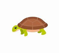 Image result for Android Turtle Emoji