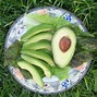 Image result for aguacste