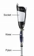 Image result for Prosthetic Leg Parts