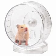 Image result for Hamster Wheel