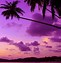 Image result for Sunset Background with Road W Palm Tree