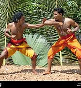 Image result for Indian Martial Artist