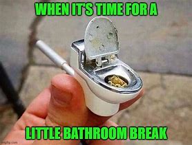 Image result for Time for a Bathroom Break Meme