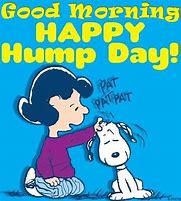 Image result for Good Morning Hump Day