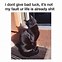 Image result for Black Cat OH No Meme