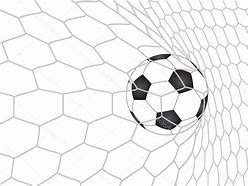 Image result for Black and White Soccer Neting