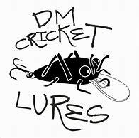 Image result for DSC Cricket Bag