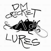Image result for Cricket Machine Identify