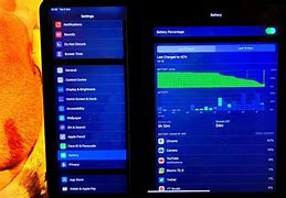Image result for Check Bttery iPad