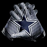 Image result for Die Hard Dallas Cowboys Fan