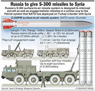 Image result for S300 Plane