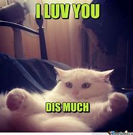 Image result for Love You Too Google Memes
