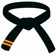 Image result for Black Belt Clips