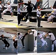 Image result for Kung Fu Fighting Styles