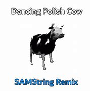 Image result for Dancing Polish Cow Wallpaper for PC