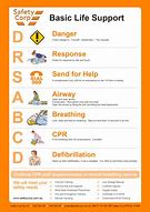 Image result for Basic Life Support Card