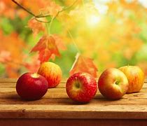 Image result for Applewhite Abckground Fruit