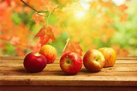 Image result for Free Photos of Autumn Apple's