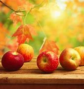 Image result for Apple Fruit Color Background