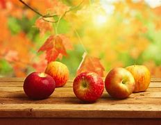 Image result for Autumn Hugge Apple's
