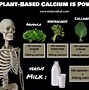 Image result for Plant Foods High in Calcium