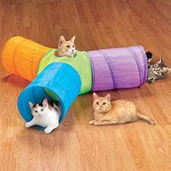 Image result for Pop Up Cat Tunnel