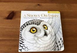 Image result for Owl Books for Preschool