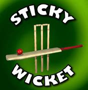 Image result for Wicket Bails Flying GIF