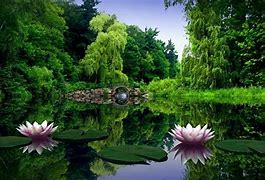 Image result for Wallpaper Photo Download HD 2018