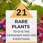 Image result for Rare Plants