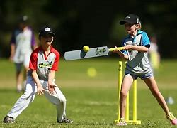Image result for Kids Playing Cricket Next to the Tin Fence with Dog Painting