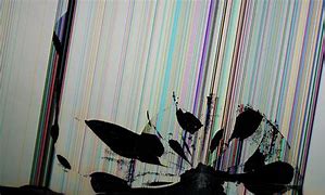 Image result for Broken LCD TV Screen