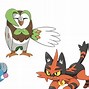 Image result for Pokemon Sun and Moon Starters