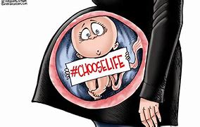 Image result for Pro-Life Political Cartoons