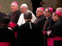 Image result for Vatican Bishops